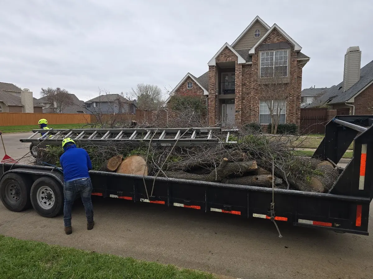 Expert Lot Clearing with proper safety equipment in Forreston